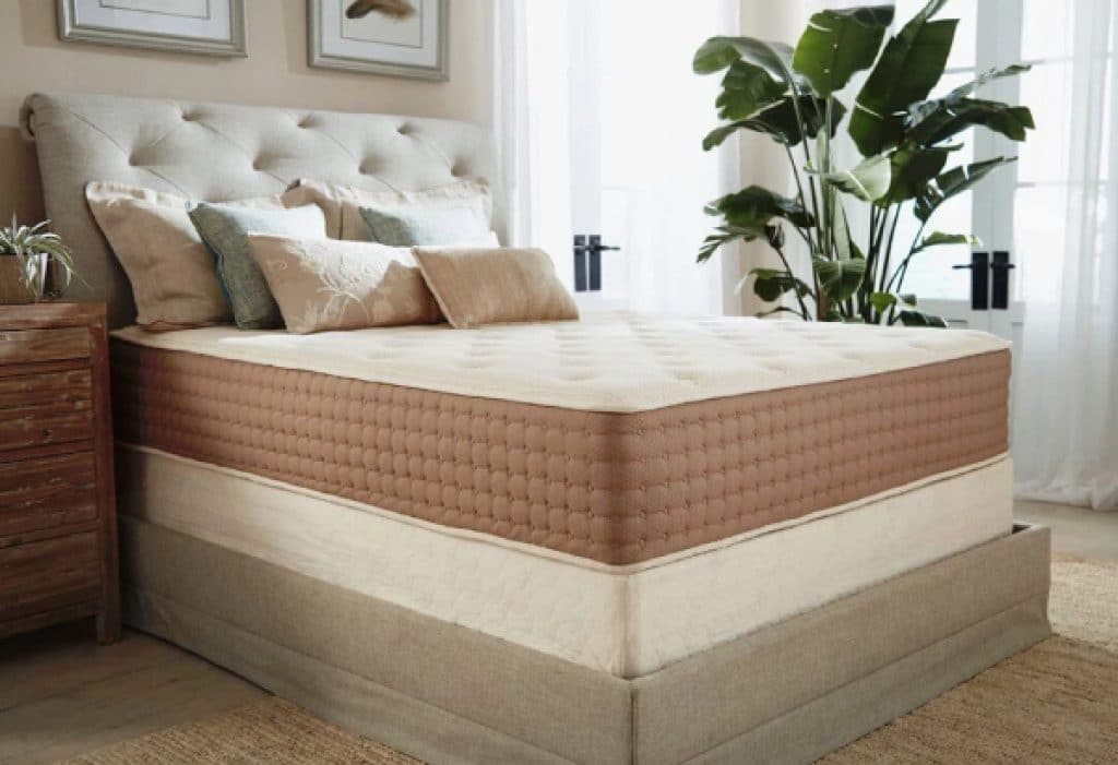 Eco Terra mattress in a minimalist bedroom featuring a large leafy plant.